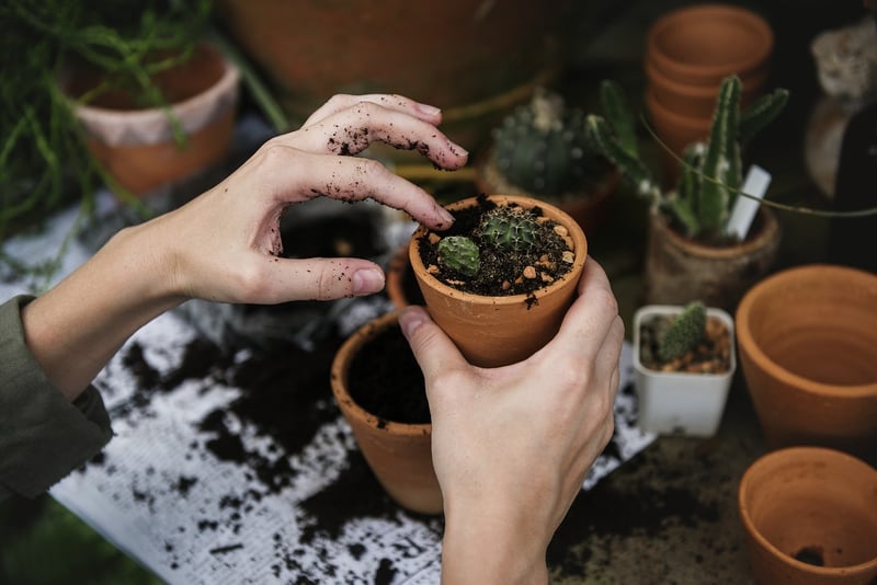 Gardening tools
